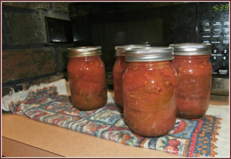 Just made home-canned jars of tomatoes fresh from the garden--mostly Purple Cherokees, filled in with plump grape tomatoes.